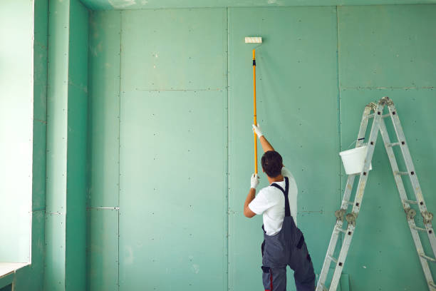 Best Mold Odor Removal Services  in Roan Mountain, TN