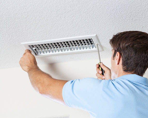 Best Mold Damage Restoration  in Roan Mountain, TN
