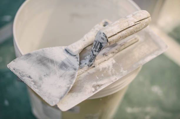 Best HVAC Mold Inspection and Cleaning  in Roan Mountain, TN
